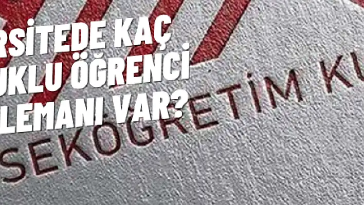 Hangi üniversitede kaç yabancı uyruklu öğrenci ve öğretim elemanı var?