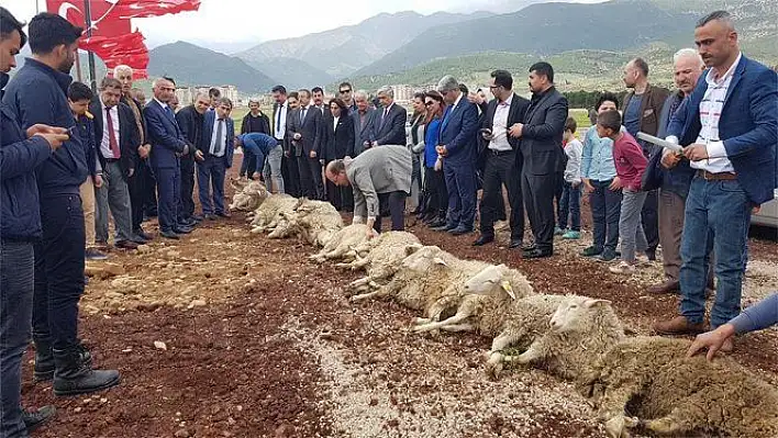 MHP AFRİN İÇİN 11 KURBAN KESTİ