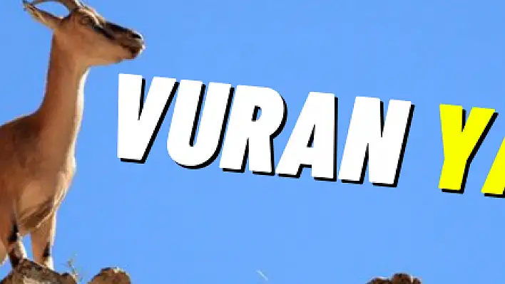 Vuran yandı!