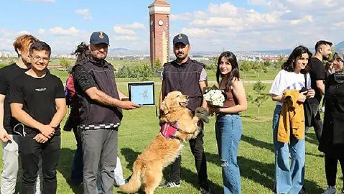 Kahraman köpekler büyük beğeni topladı