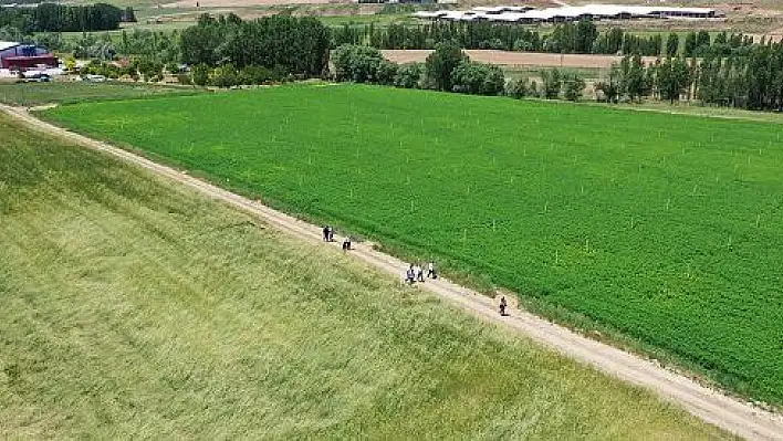 Kayseri'de 'Yerli ve Milli Tohumun Ulaşamadığı Çiftçi Kalmasın Projesi'