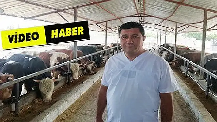 Kurbanlık alacaklar bu hususlara dikkat