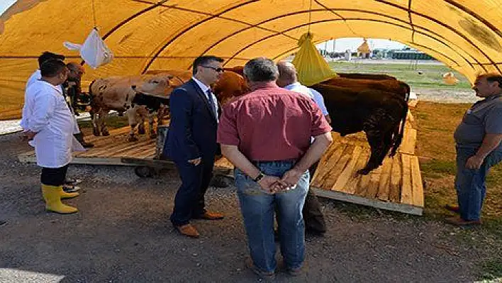 Tarım İl Müdürlüğü Hayvan Pazarında denetim yaptı 