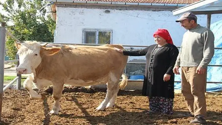 İŞKUR hibesiyle kendi işini kuran çift zor günleri geride bıraktı