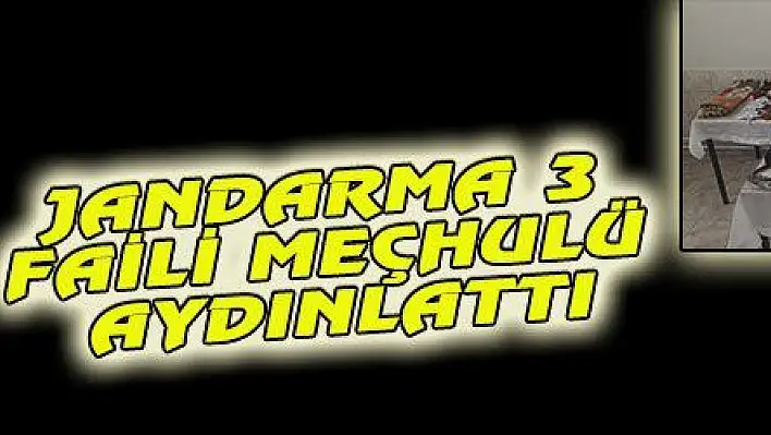 JANDARMA 3 FAİLİ MEÇHULÜ AYDINLATTI