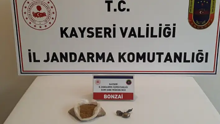 Yahyalı'da bonzai operasyonu