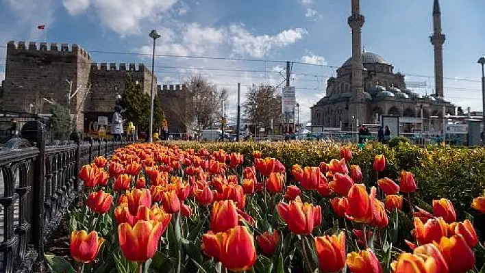 1 milyon çiçek toprakla buluşacak