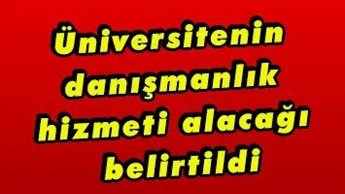 Üniversitenin danışmanlık hizmeti alacağı belirtildi