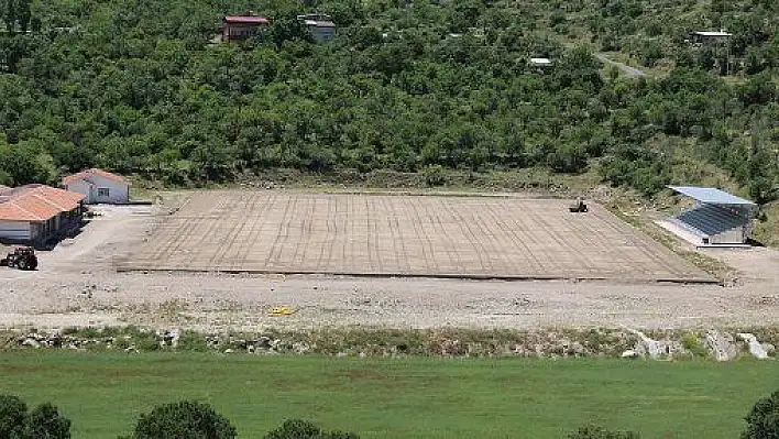 Hacılar Stadyumu'nda çimler ekildi