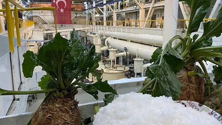 'Kayseri Şeker'in 3 fabrikası birbiriyle yarışıyor'