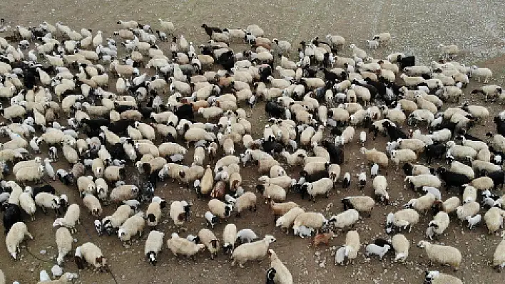 Kavuşma anında renkli görüntüler