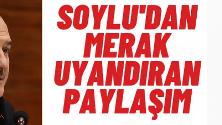 Soylu'dan merak uyandıran paylaşım