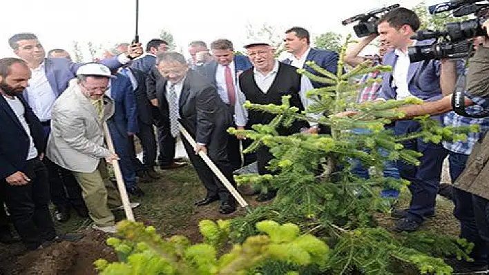 15 Temmuz Şehitleri anısına 248 bin fidanın dikildi