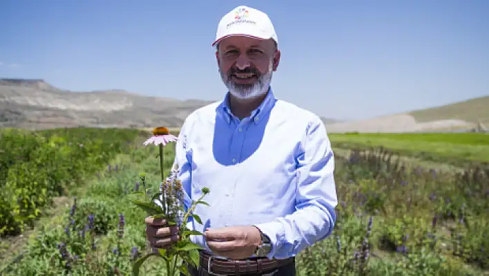 Tıbbi aromatik bitki tarlaları Kocasinan'da tarıma yön verecek