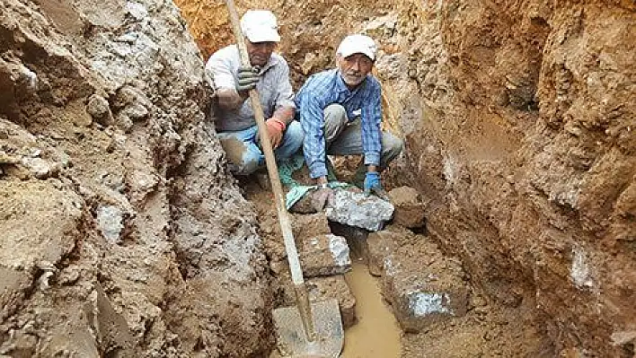 Kendilerini yabani hayvanlara adadılar