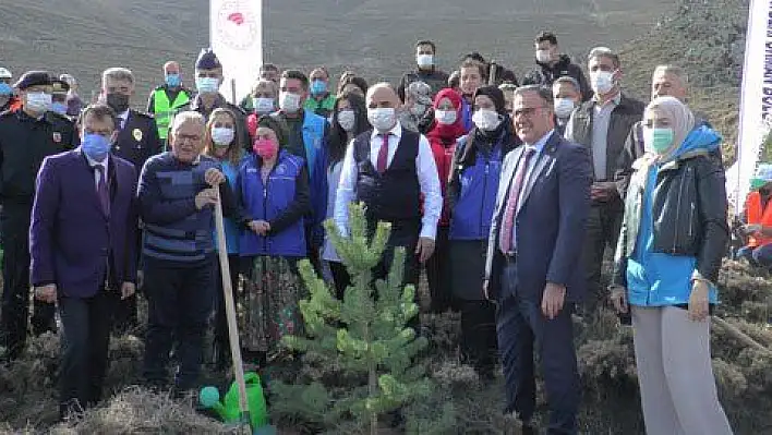 Kayseri'de 2 bin fidan toprakla buluştu