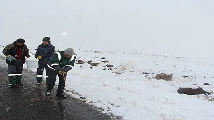 Develi Belediyesi'nin kış çalışmaları devam ediyor