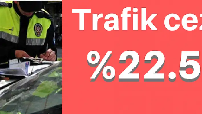 2020'nin trafik cezaları belli oldu