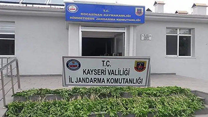 Kayseri'de yasadışı ekime geçit yok