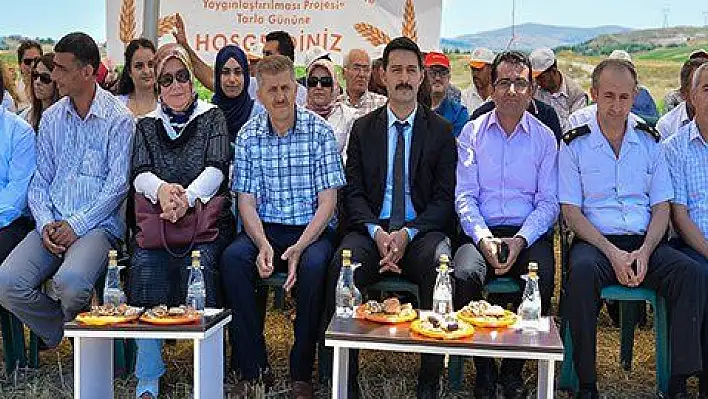 Kocasinan'da Şanlı Buğday Çeşidi Tarla Günü 