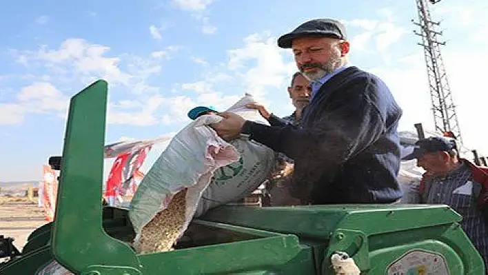 KOCASİNAN'DA ATA YADİGARI SİYEZ BUĞDAYLAR HASADA HAZIRLANIYOR