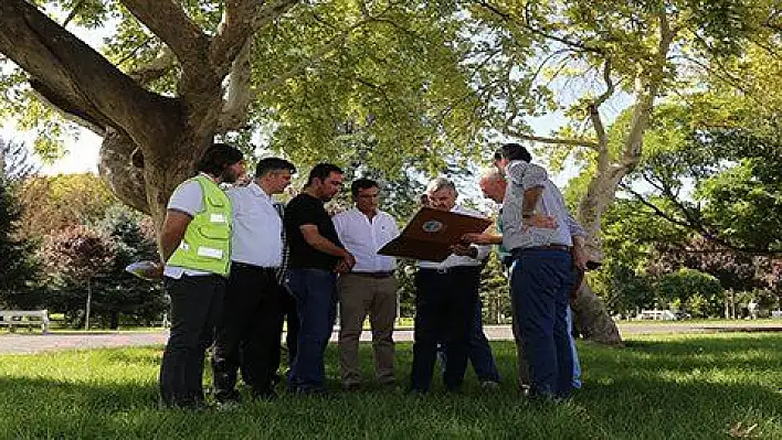 Büyükşehir Belediyesi, ağaçların kesilmemesi için projeyi değiştirdi