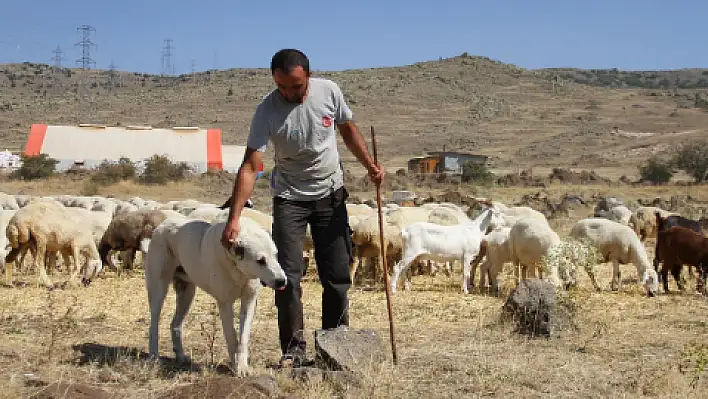 Kooperatif kredisiyle kendi işinin sahibi oldu