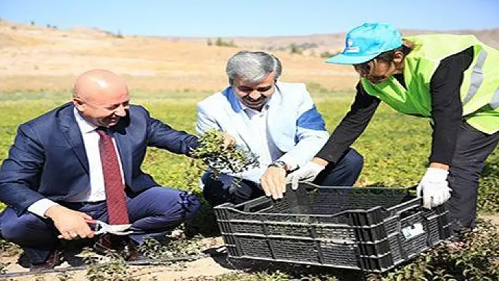 Çolakbayrakdar, 'Kayseri tarım şehri olarak anılacaksa bunun yolu Kocasinan'dan geçer'