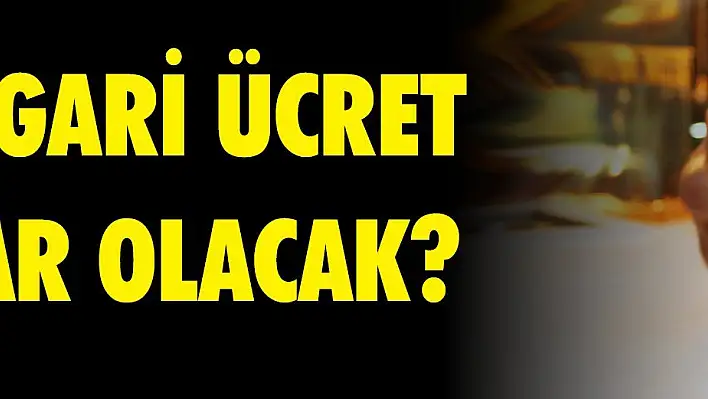 2020 Asgari Ücret Ne Kadar Olacak?