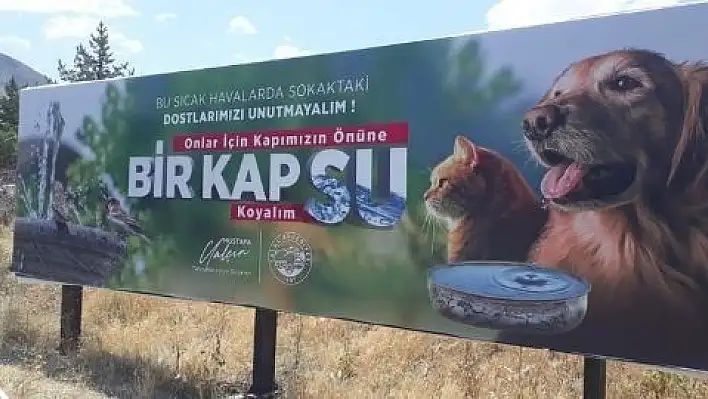 Bilboardlardan sokak hayvanları için su çağrısı