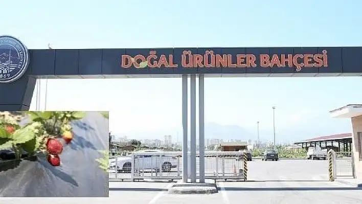 Büyükşehirden 'organik' hizmet