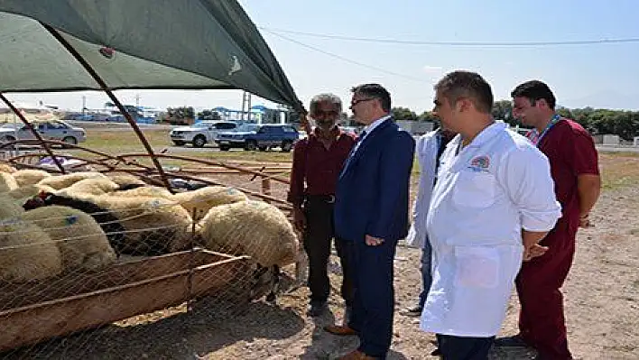 Tarım İl Müdürlüğü'nden Kurban Alacak Olanlara Büyük Hizmet