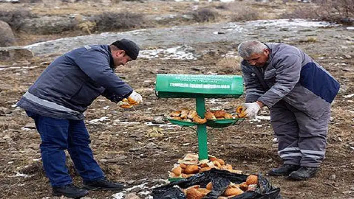 Talas Belediyesi yaban ve sokak hayvanlarını unutmadı