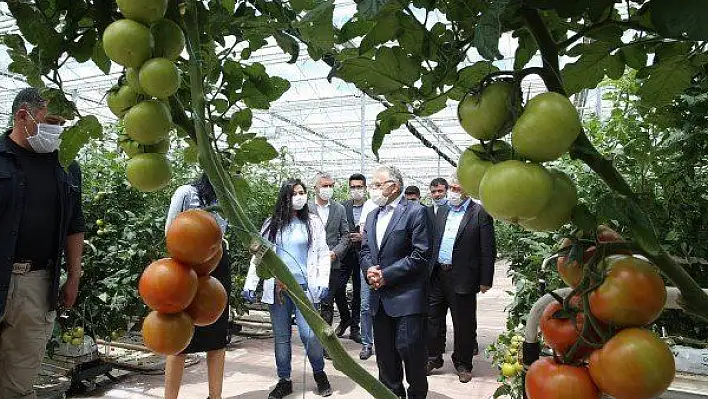 Doğa dostu başkandan çevreci hamleler