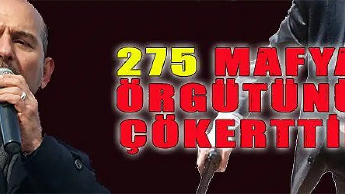 275 MAFYA ÖRGÜTÜNÜ ÇÖKERTTİK