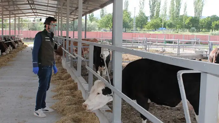 Koronavirüs tedavisi gören çiftçiye yardım