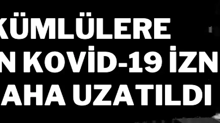 Hükümlülere verilen Kovid-19 izni 2 ay daha uzatıldı