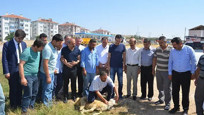 Bünyan'da kurban kesim kursu açıldı