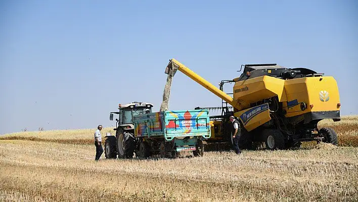 Kayseri'de 'Aspir' hasadı başladı