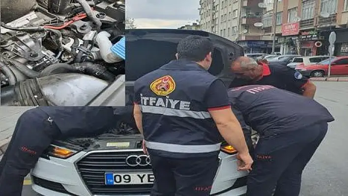 Otomobilin motor kısmına sıkışan yavru kediyi itfaiye kurtardı