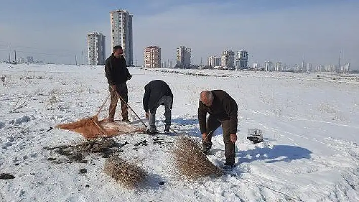 Yasa dışı avcılık yapan 5 kişiye ceza