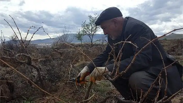 Havalar ısındı, vatandaşlar bağa akın etti