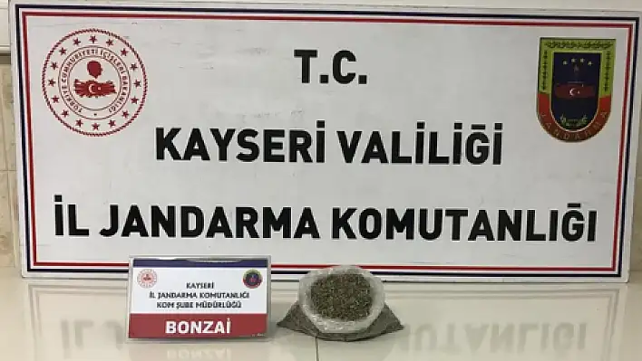  Jandarmadan uyuşturucu operasyonu