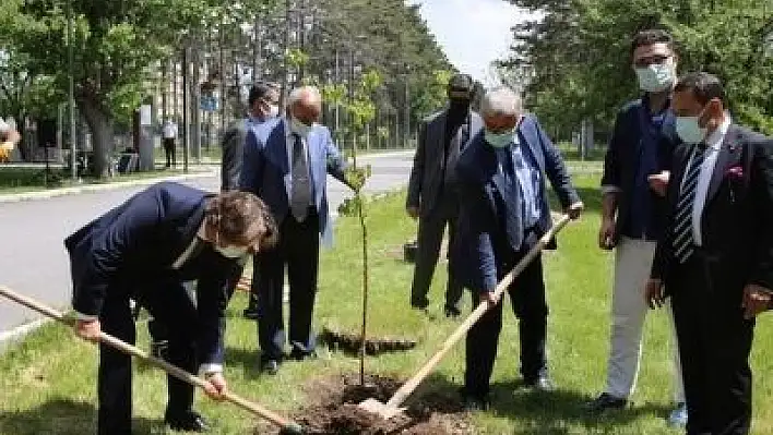 KAYEMA, AGÜ'yü ağaçlandırdı 