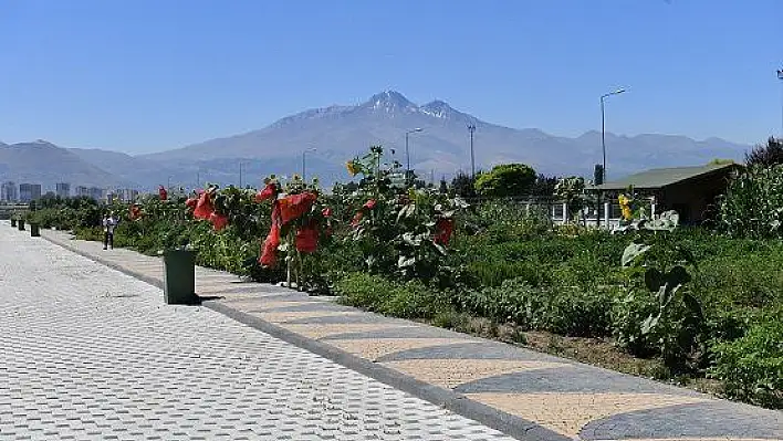 Doğal Ürünler Bahçesi ve Pazarı Kayserililerin ilgi odağı oldu