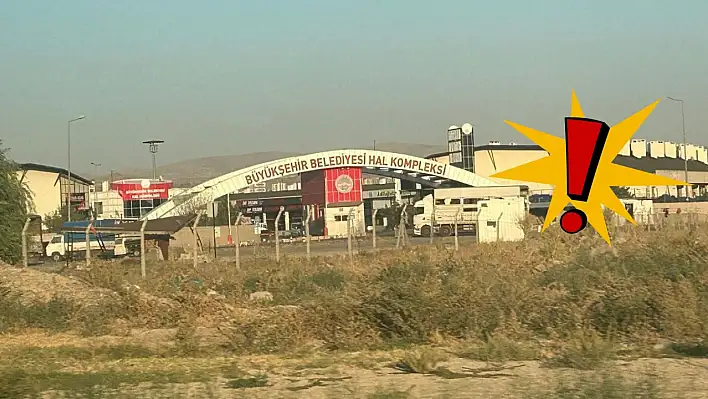 Kayseri Hal'inde fiyat şampiyonu ürünler belli oldu!