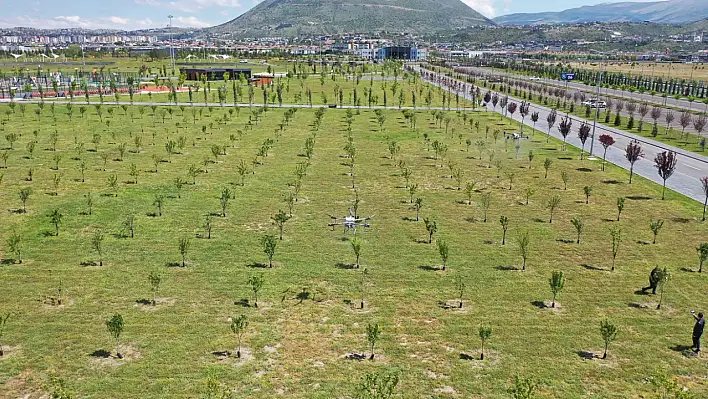 Kayseri Millet Bahçesi'nde kene var mı?