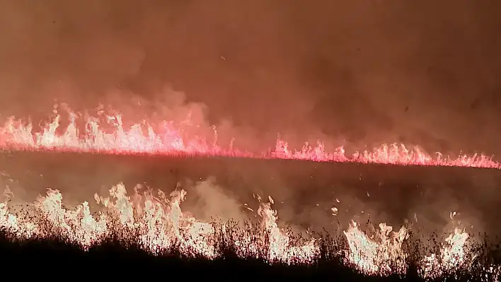 Kayseri'nin cennetinde yine yangın! – Sabotaj mı var?