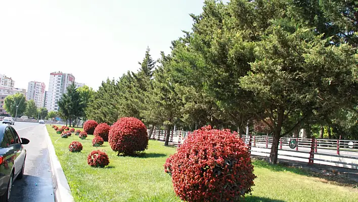 Kayseri'nin Dört Bir Yanını Donattılar