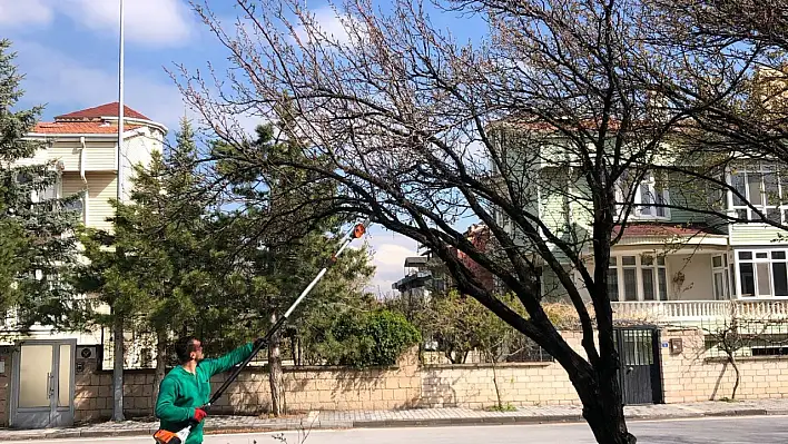 Kayseri'nin görünüşü değişiyor: Büyükşehir Belediyesi çalışmalarına hız verdi!